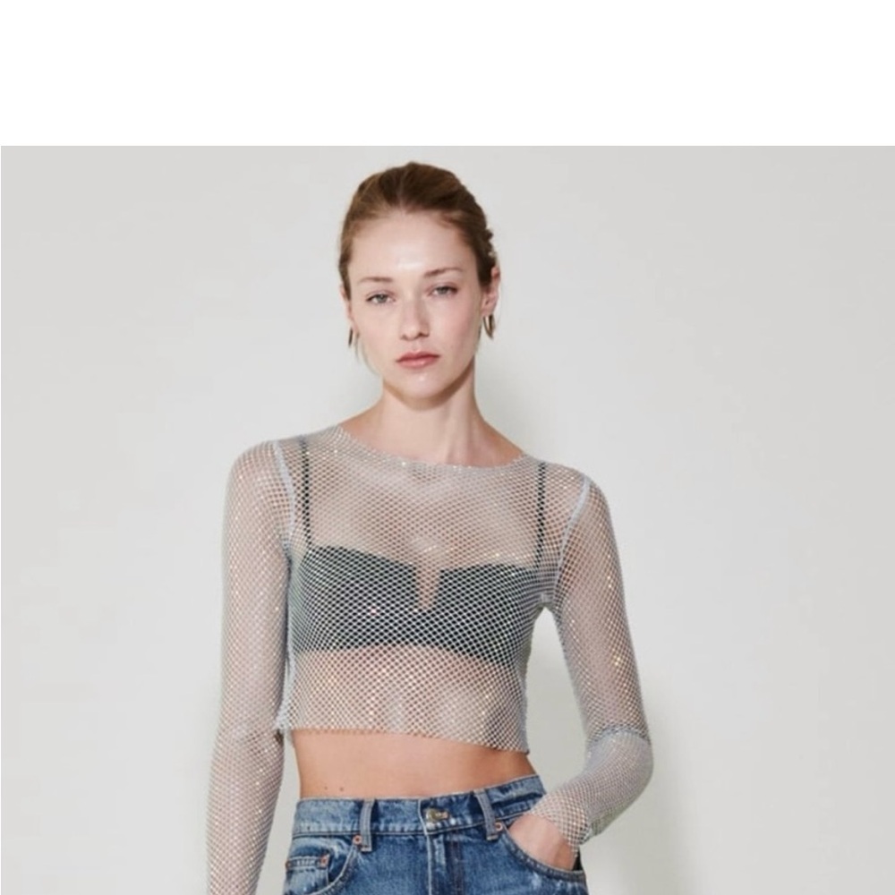 Zara Sheer Mesh Crop Top - Silver